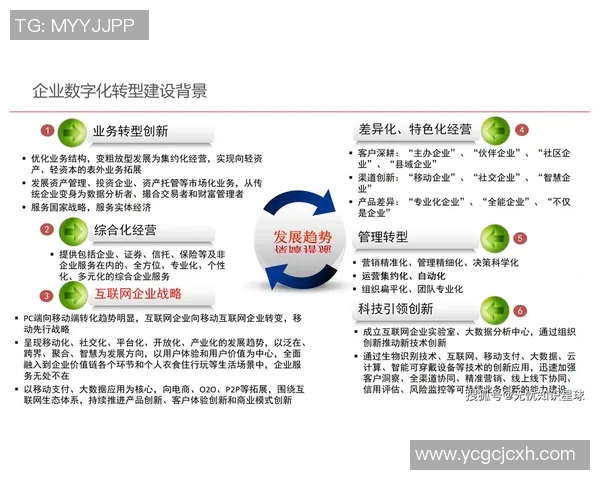 中欧官网信息全面解析助力企业数字化转型与国际化发展